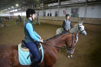 Три новых стойла появились в ивановской конно-спортивной школе - mkivanovo.ru