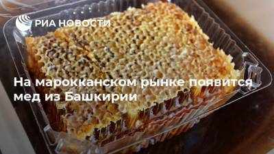 На марокканском рынке появится мед из Башкирии - ria.ru - Москва - Башкирия - Марокко