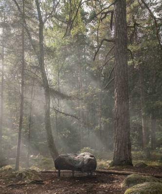 Камень в лесу: совместный проект студии Front и Moroso - skuke.net - Италия - Швеция