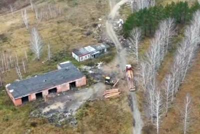 Ирина Волк - Двое новосибирцев подозреваются в рубке леса на 15 млн рублей - tayga.info - Новосибирская обл.