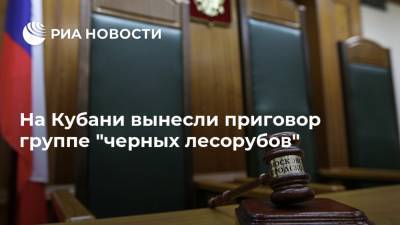На Кубани вынесли приговор группе "черных лесорубов" - ria.ru - Россия - Краснодар - Туапсе