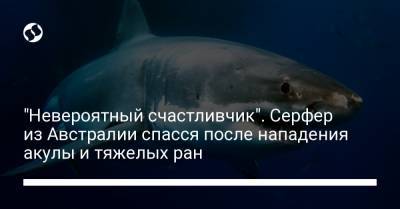 "Невероятный счастливчик". Серфер из Австралии спасся после нападения акулы и тяжелых ран - liga.net - Украина - Австралия