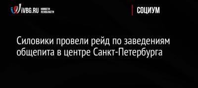 Силовики провели рейд по заведениям общепита в центре Санкт-Петербурга - ivbg.ru - Россия - Санкт-Петербург - территория Сотрудники