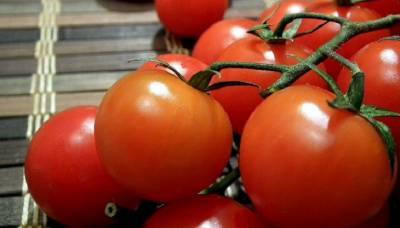 В Россию запретили ввозить азербайджанские томаты и яблоки - mirnov.ru - Азербайджан - Россельхознадзор