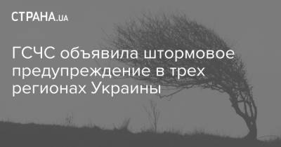 Наталья Диденко - ГСЧС объявила штормовое предупреждение в трех регионах Украины - strana.ua - Гсчс