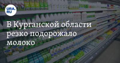 В Курганской области резко подорожало молоко - ura.news - Курганская обл. - Шадринск