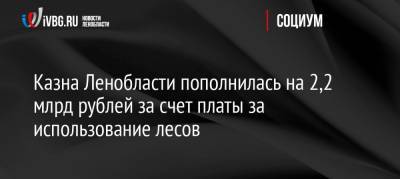 Казна Ленобласти пополнилась на 2,2 млрд рублей за счет платы за использование лесов - ivbg.ru - Ленинградская обл.