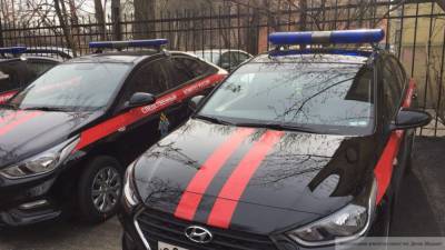 СК проверяет петербургских полицейских после избиения задержанного - newinform.com - Петербург