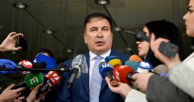 Михеил Саакашвили - В Украине планируют ввести "экономический паспорт": Саакашвили объяснил суть инициативы - tsn.ua - Грузия