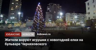 Жители воруют игрушки с новогодней елки на бульваре Черняховского - kubnews.ru - Новороссийск