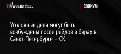 Сергей Капитонов - Уголовные дела могут быть возбуждены после рейдов в барах в Санкт-Петербурге – СК - ivbg.ru - Россия - Санкт-Петербург