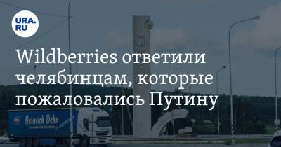 Владимир Путин - Wildberries ответили челябинцам, которые пожаловались Путину - ura.news - Челябинская обл. - Миасс