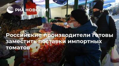Алексей Ситников - Российские производители готовы заместить поставки импортных томатов - smartmoney.one - Россия
