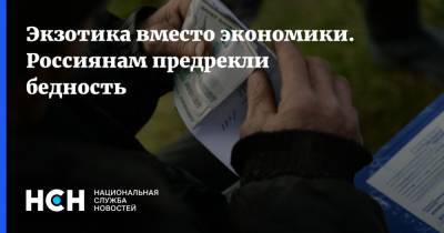 Владимир Путин - Андрей Нечаев - Экзотика вместо экономики. Россиянам предрекли бедность - nsn.fm