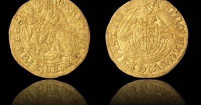 Генрих VIII (Viii) - В Британии семья нашла клад из золотых монет эпохи Тюдоров, копаясь в саду - focus.ua - Англия