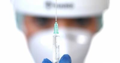 Денис Мантуров - Египет подтвердил заинтересованность в российской вакцине "Спутник V" - ren.tv - Египет