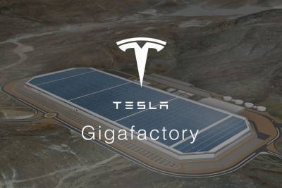 Илон Маск - Змеи и ящерицы помешали строительству завода Tesla под Берлином - 24tv.ua - Техас - Берлин - шт. Калифорния