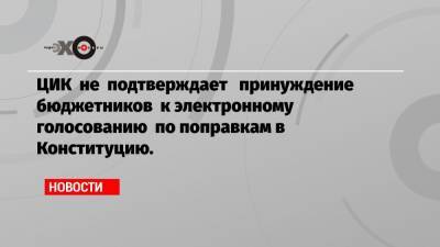 Элла Памфилова - ЦИК не подтверждает принуждение бюджетников к электронному голосованию по поправкам в Конституцию. - echo.msk.ru