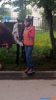 В парке девушки на лошадях вытоптали свежий газон и повредили кусты - sakhalin.info - Сахалинск