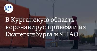 В Курганскую область коронавирус привезли из Екатеринбурга и ЯНАО - ura.news - Екатеринбург - Курганская обл. - Курган - окр. Янао - Пензенская обл. - Шадринск