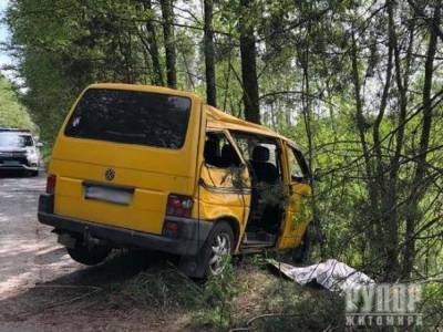 На Житомирщине водитель Volkswagen T-4 врезался в дерево: один погибший, трое травмировано - golos.ua - Житомир