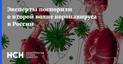 Георгий Сапронов - Виктор Зуев - Эксперты поспорили о второй волне коронавируса в России - nsn.fm - Россия