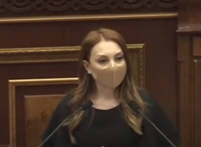 Лилит Макунц - «Мой шаг»: В условиях распространения коронавируса нельзя допускать проведения акций протестов - news.am - Армения