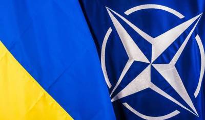 Украина стала партнером расширенных возможностей НАТО - newizv.ru - Украина - Лунгеск
