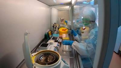 10 тысяч работников и торговцев рынка в Пекине, где нашли коронавирус, пройдут тестирование - vesti.ru - Москва - Пекин