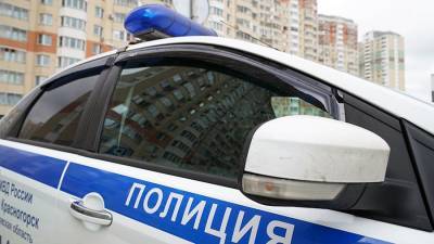 Ирина Волк - В МВД России отметили снижение числа преступлений в мае - iz.ru - Россия