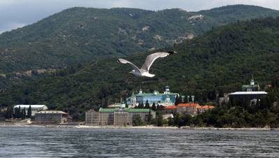 Сильный лесной пожар произошел на Афоне - gazeta.ru - Россия - Украина - Греция