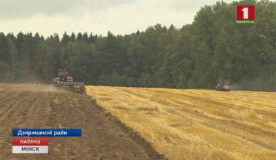 Каравай Минской области весит уже триста тридцать тысяч тонн - tvr.by