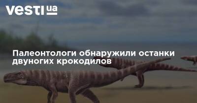 Палеонтологи обнаружили останки двуногих крокодилов - vesti.ua
