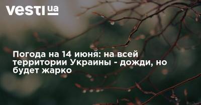 Наталья Диденко - Погода на 14 июня: на всей территории Украины - дожди, но будет жарко - vesti.ua - Украина - Киев