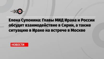 Сергей Лавров - Мохаммад Джавад - Елена Супонина: Главы МИД Ирана и России обсудят взаимодействие в Сирии, а также ситуацию в Ираке на встрече в Москве - echo.msk.ru - Москва - Россия - Сирия - Турция - Ирак - Иран - Тегеран - Астана