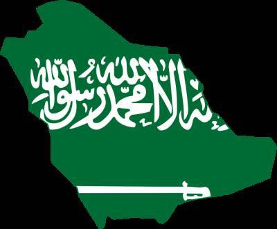 Мансур Хади - Саудовская Аравия сбила баллистическую ракету над Наджраном - actualnews.org - Саудовская Аравия - Йемен