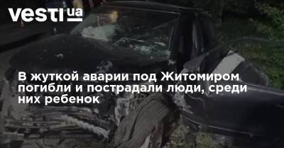 Михаил Ефремов - Сергей Захаров - В жуткой аварии под Житомиром погибли и пострадали люди, среди них ребенок - vesti.ua - Москва - Украина - Житомир