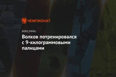 Александр Волков - Волков потренировался с 9-килограммовыми палицами - championat.com - США - шт. Невада - Вегас