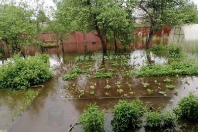 В Тверской области появился свой незапланированный Петергоф - tver.mk.ru - Тверская обл. - Кимры
