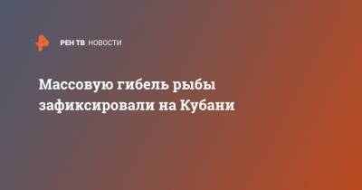 Массовую гибель рыбы зафиксировали на Кубани - ren.tv - Кубань
