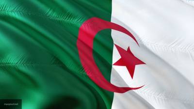Президент Алжира: сторонам конфликта в Ливии надо придерживаться "Каирской декларации" - newinform.com - Ливия - Алжир - Алжирская Народная Демократическая Республика - Алжир