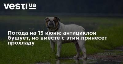 Наталья Диденко - Погода на 15 июня: антициклон бушует, но вместе с этим принесет прохладу - vesti.ua - Украина - Киев