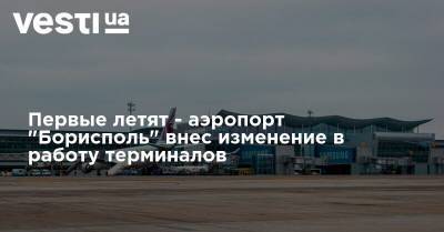 Павел Рябикин - Первые летят - аэропорт "Борисполь" внес изменение в работу терминалов - vesti.ua