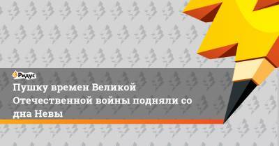 Пушку времен Великой Отечественной войны подняли со дна Невы - ridus.ru - Ленинградская обл. - Санкт-Петербург - р-н Кировский