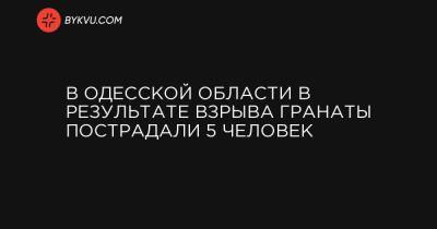 В Одесской области в результате взрыва гранаты пострадали 5 человек - bykvu.com - Украина - Одесская обл.