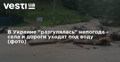 В Украине "разгулялась" непогода - села и дороги уходят под воду (фото) - vesti.ua - Украина - Ивано-Франковская обл. - Запад