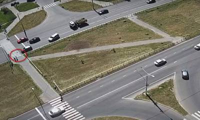 В Петрозаводске машина сбила собаку, которую хозяин вел на поводке - gubdaily.ru - Петрозаводск
