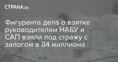 Фигуранта дела о взятке руководителям НАБУ и САП взяли под стражу с залогом в 84 миллиона - strana.ua - Украина