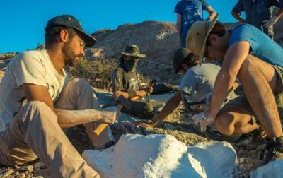 Палеонтологи открыли новый вид динозавров - korrespondent.net - Находка - Argentina