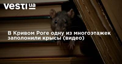В Кривом Роге одну из многоэтажек заполонили крысы (видео) - vesti.ua - Кривой Рог